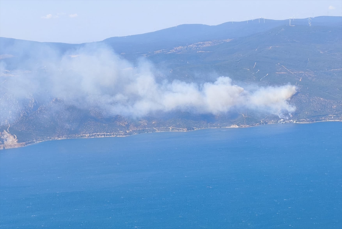 Yalova'da çıkan orman yangınına müdahale ediliyor