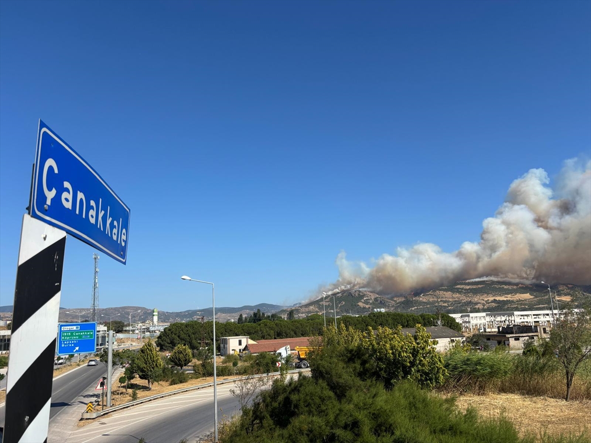 Çanakkale merkezdeki ormanlık alanda çıkan yangına müdahale ediliyor