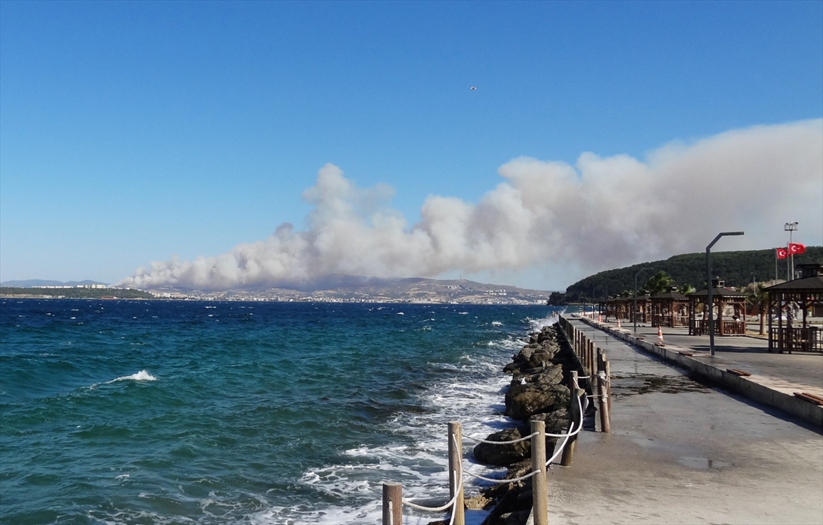 Çanakkale merkezdeki ormanlık alanda çıkan yangına müdahale ediliyor