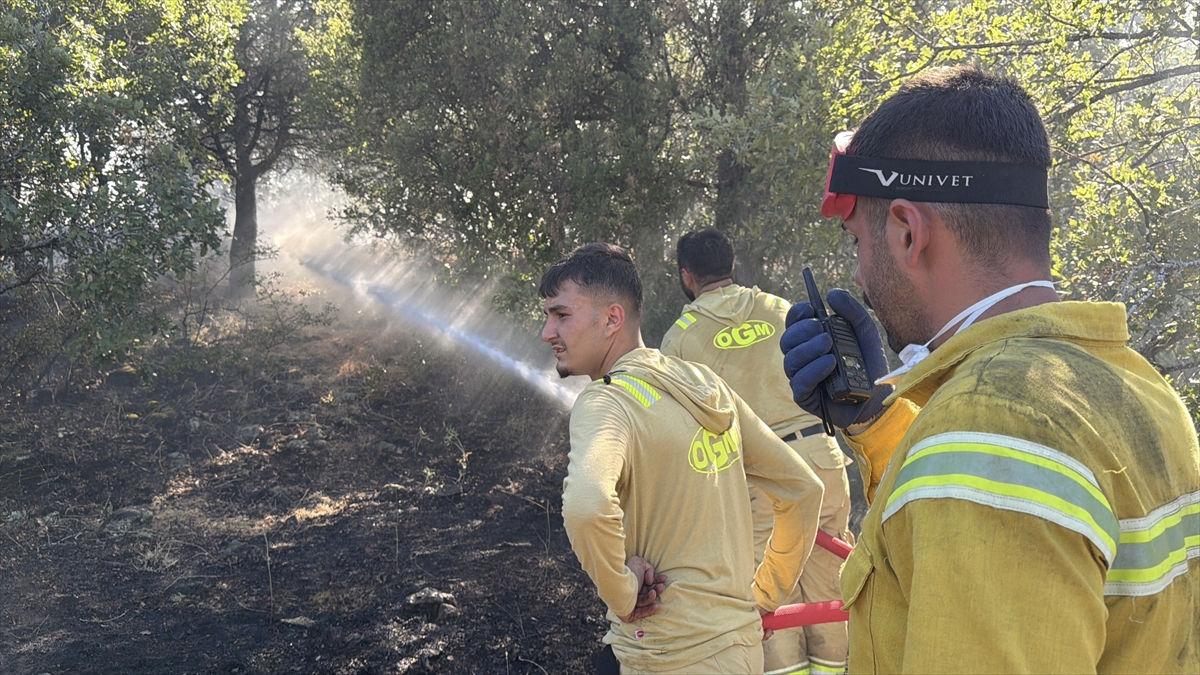 Kütahya'da ormanlık alanda çıkan yangın kontrol altına alındı