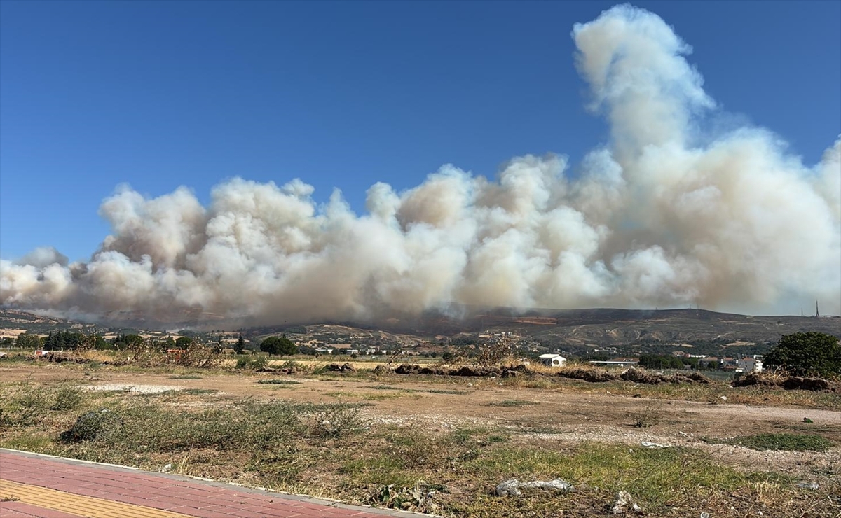 Çanakkale merkezdeki ormanlık alanda çıkan yangına müdahale ediliyor