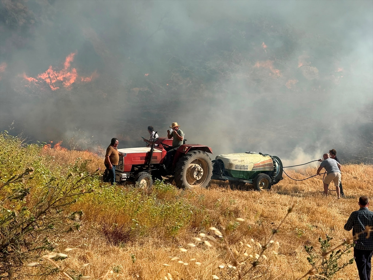 Çanakkale merkezdeki ormanlık alanda çıkan yangına müdahale ediliyor