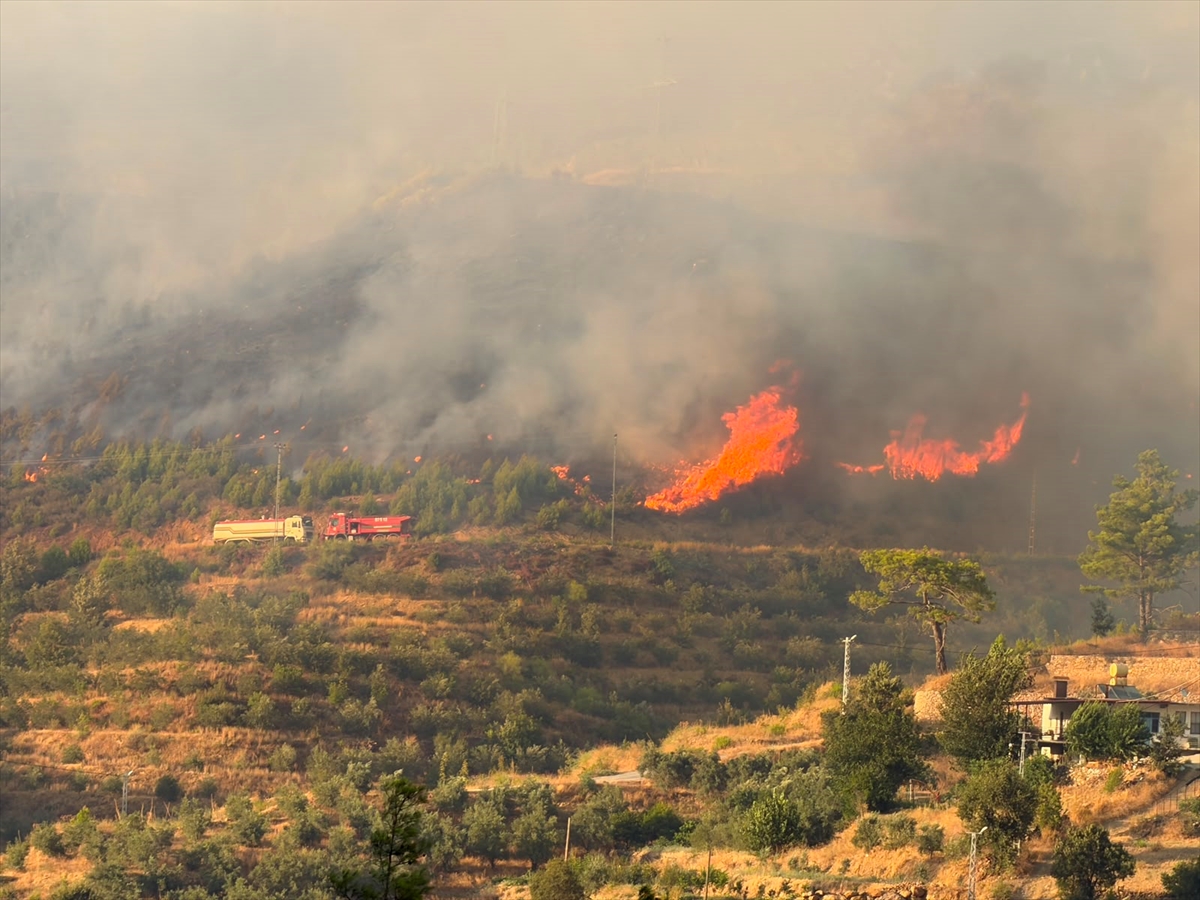Antalya'da ormanlık alanda çıkan yangına müdahale ediliyor
