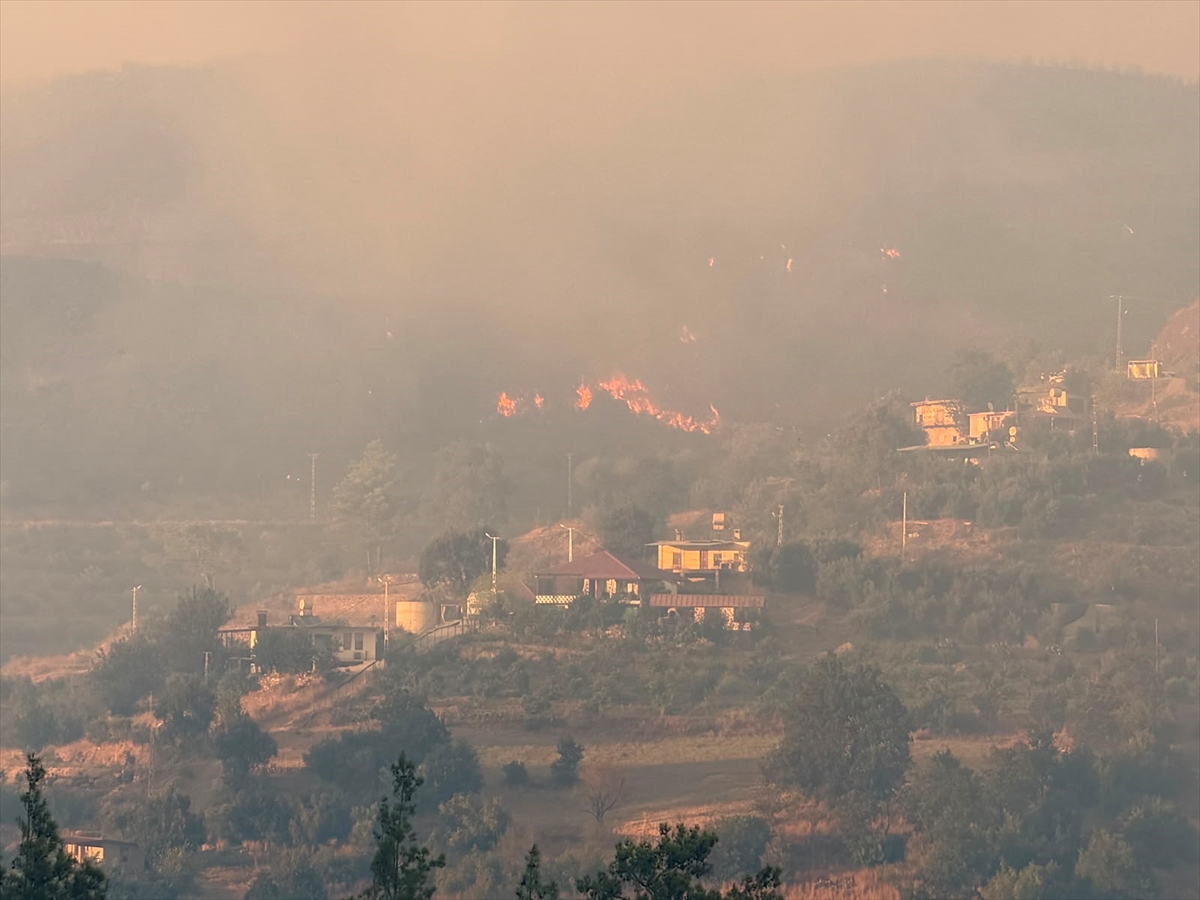 Antalya'da ormanlık alanda çıkan yangına müdahale ediliyor