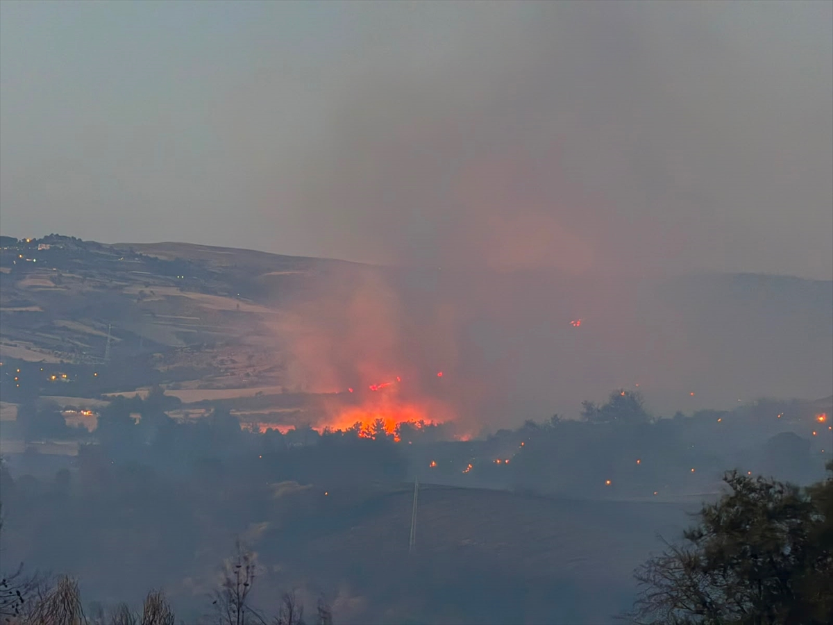 Çanakkale merkezdeki ormanlık alanda çıkan yangın kontrol altına alındı