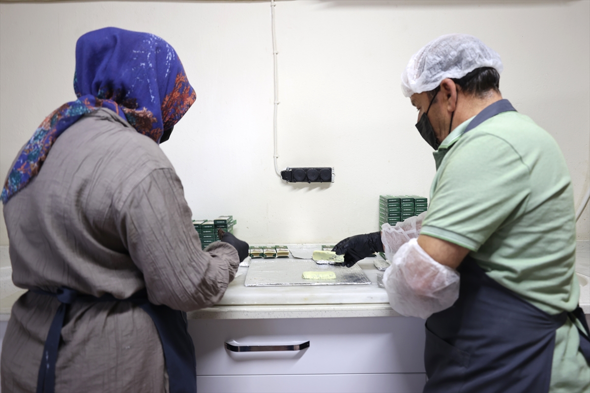 Fındıktan ilham aldı, tescilli kabak çekirdeğiyle ezme ve çikolata üretti