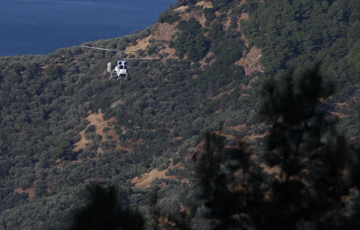 Çanakkale Ayvacık'ta orman yangını: Havadan müdahale sürüyor