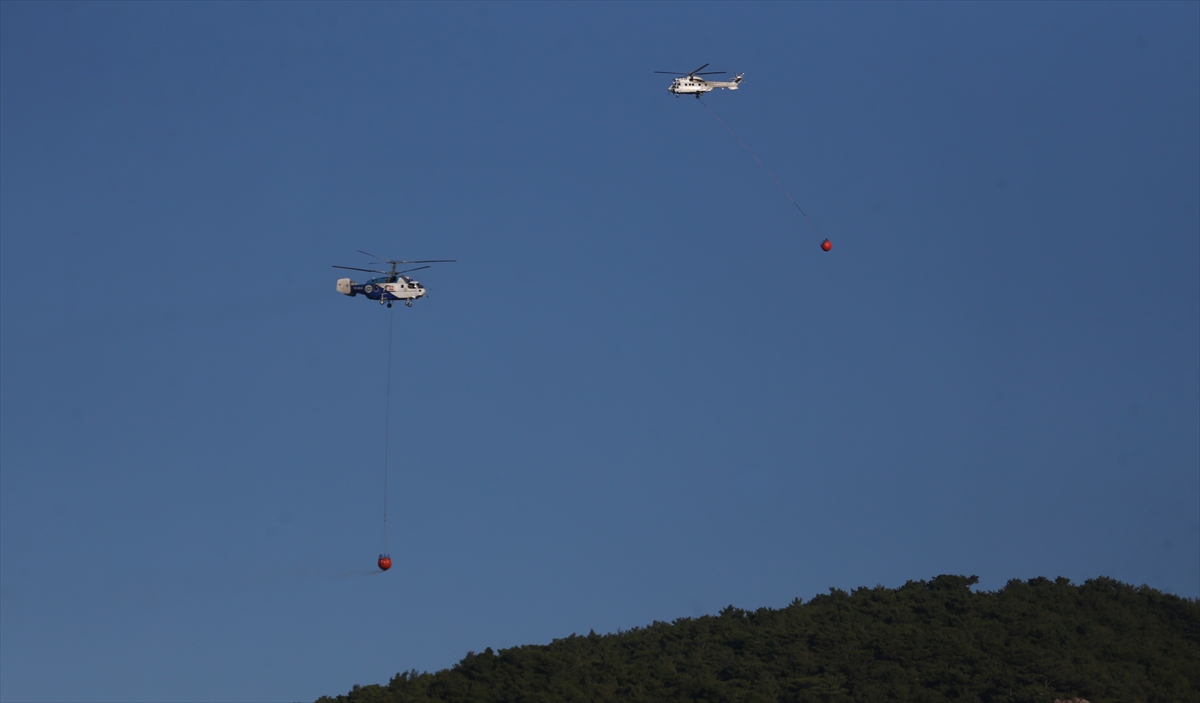 Çanakkale Ayvacık'ta orman yangını: Havadan müdahale sürüyor