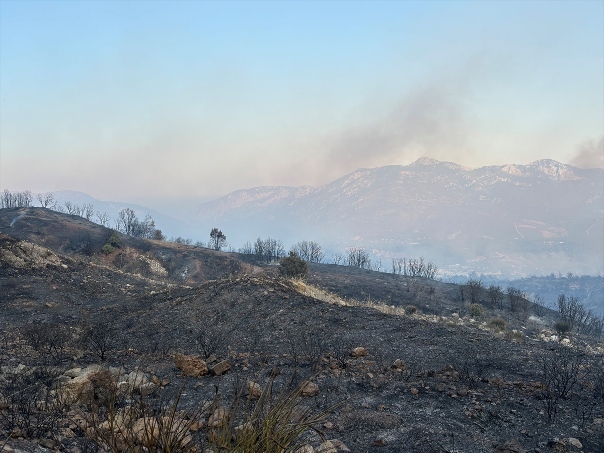 Antalya'nın Kumluca ilçesinde çıkan orman yangını kontrol altına alındı