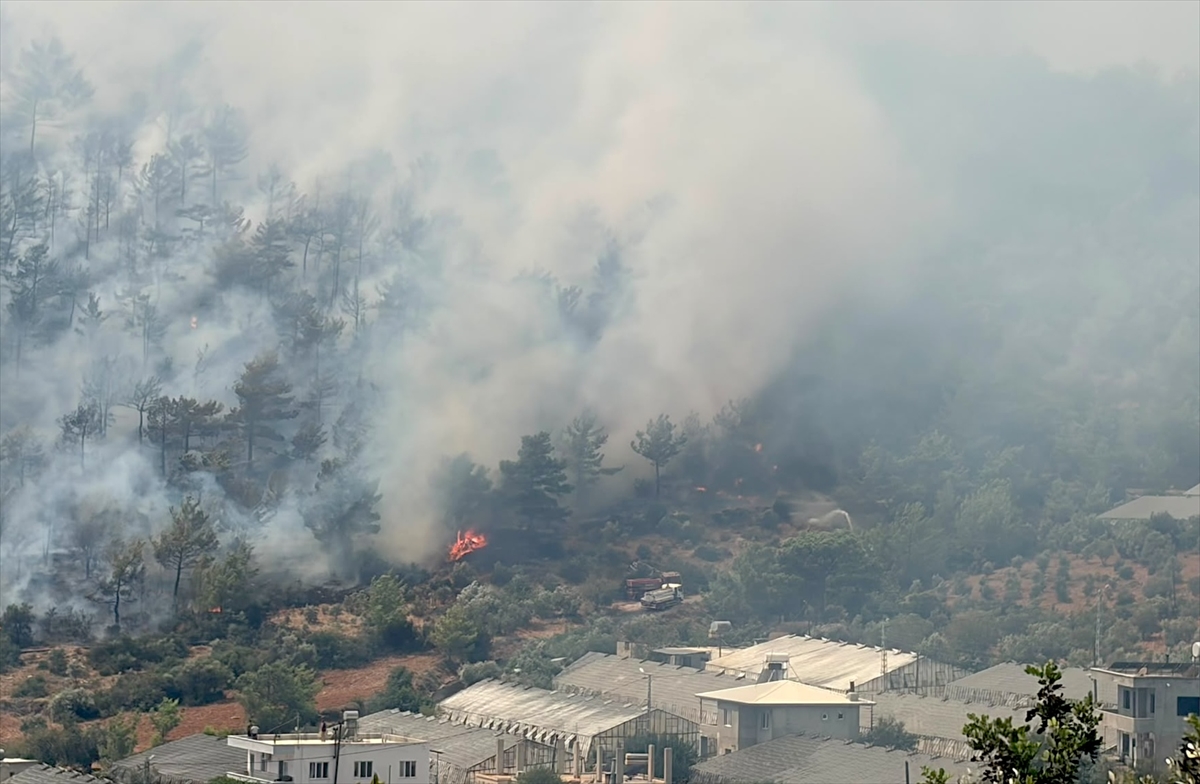 Mersin'de çıkan orman yangınına müdahale ediliyor