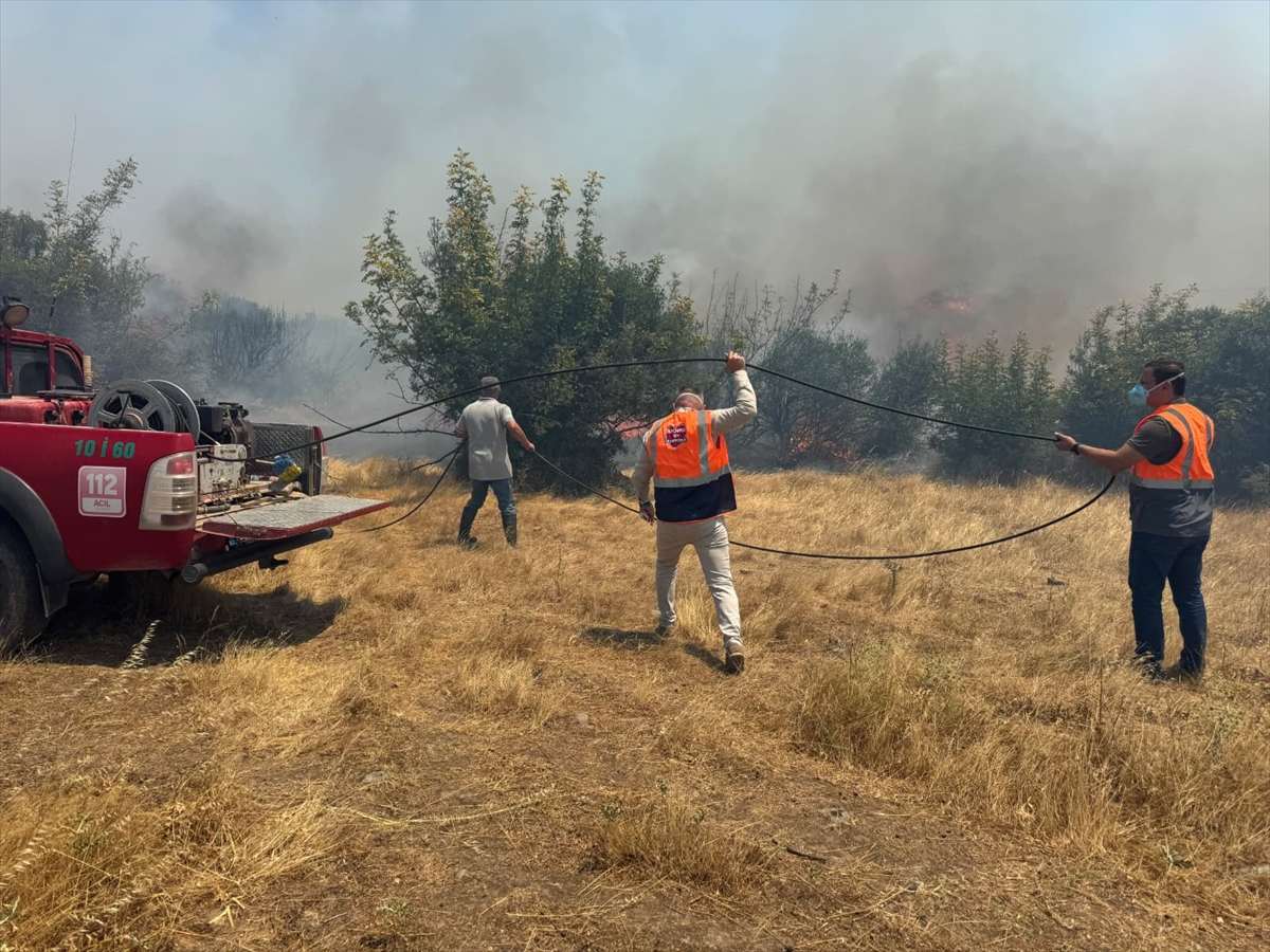 Balıkesir Sındırgı'da orman yangını: Ekipler müdahalede