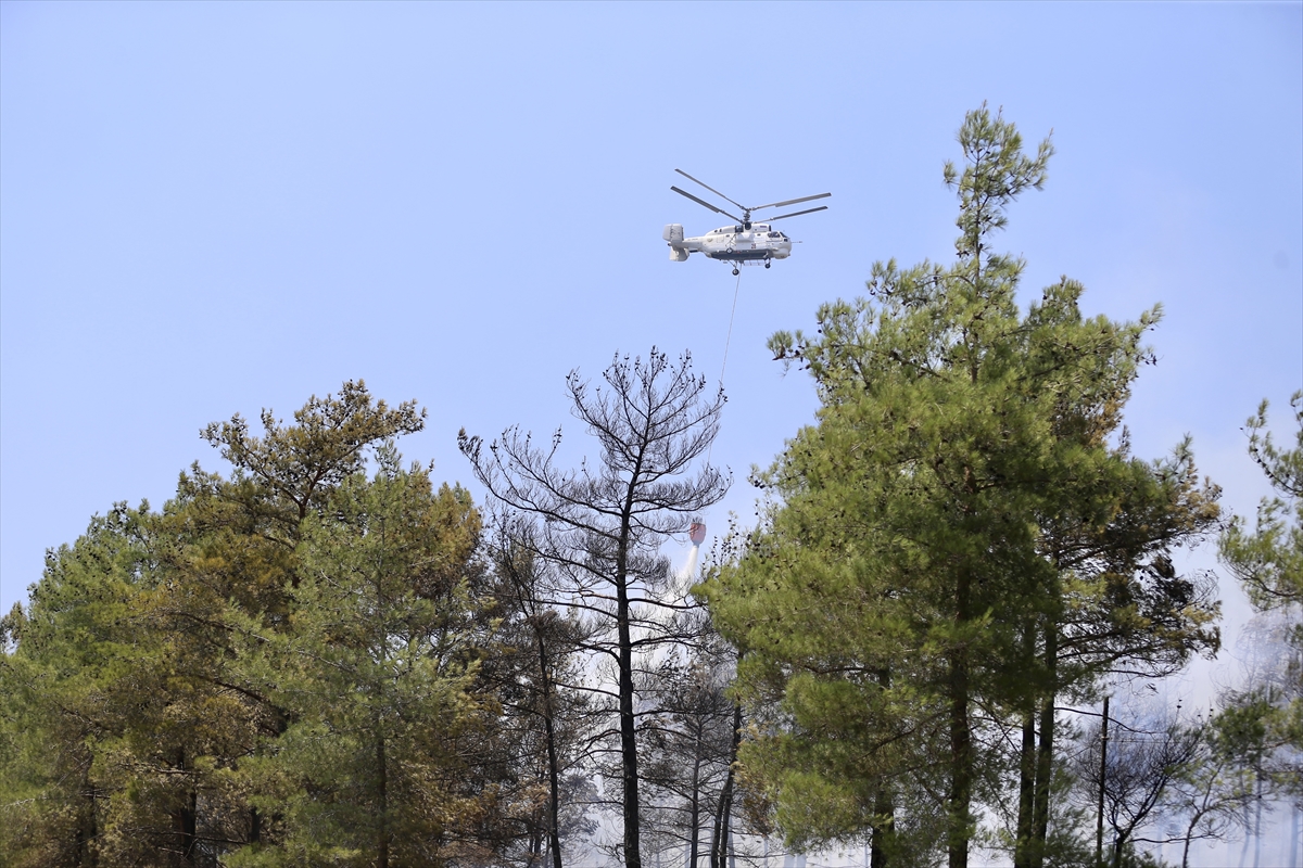 Fethiye'deki orman yangını rüzgarla yeniden alevlendi