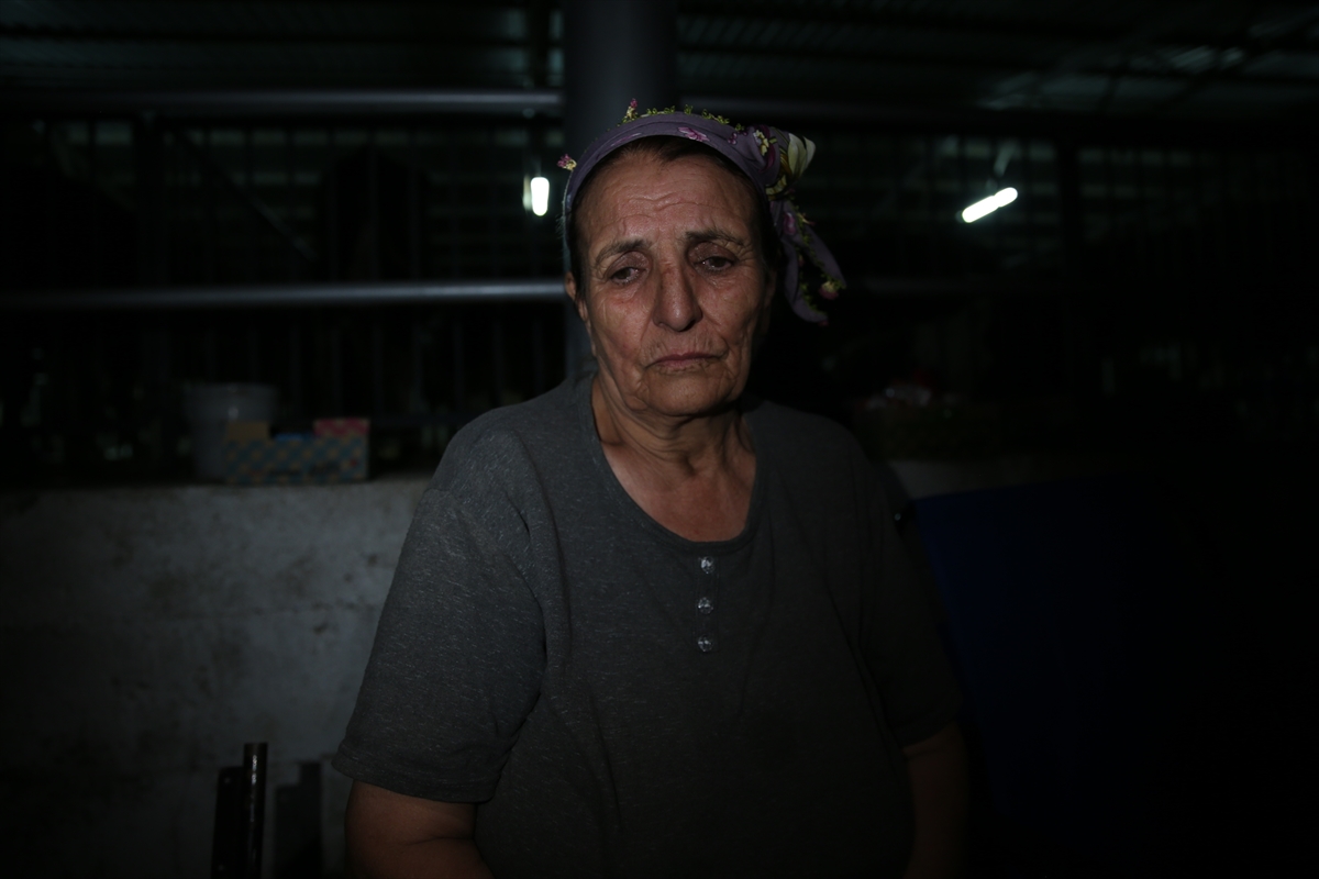 Aydın Çine Orman Yangını: Havadan ve karadan müdahale sürüyor