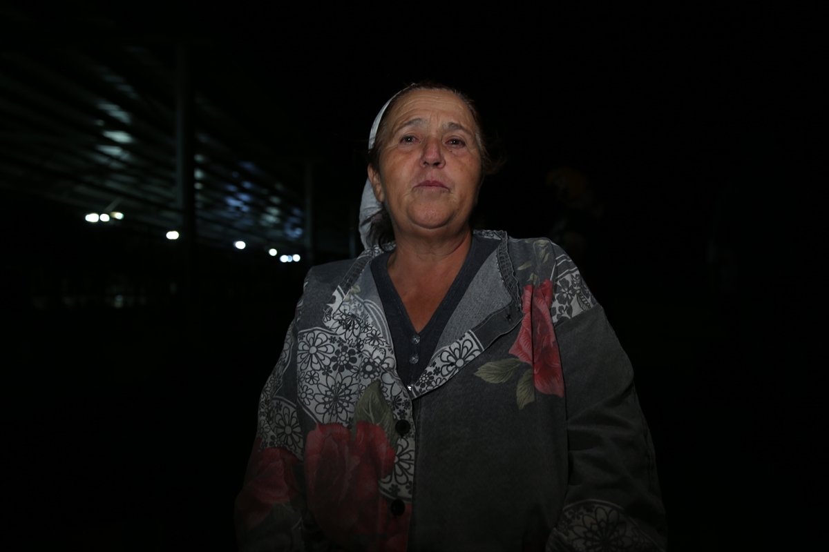 Aydın Çine Orman Yangını: Havadan ve karadan müdahale sürüyor