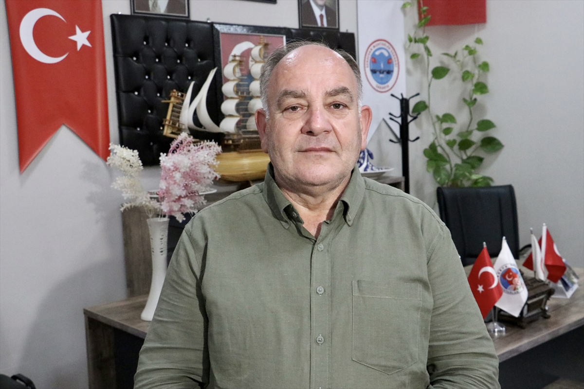 Sakarya'da sahipsiz köpekler toplatıldı, şikayetler azaldı