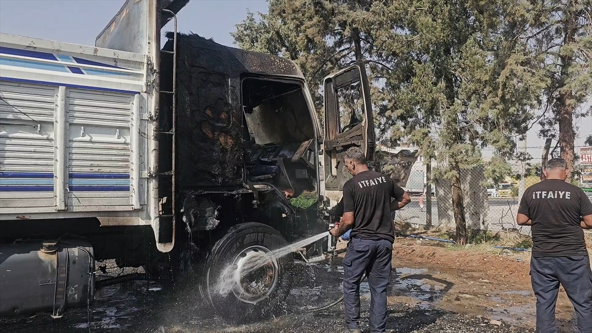 Mardin Nusaybin'de park halindeki kamyon alevlere teslim oldu