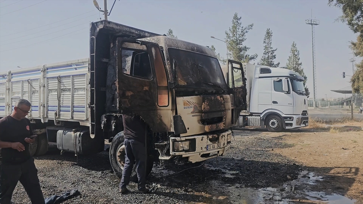 Mardin Nusaybin'de park halindeki kamyon alevlere teslim oldu