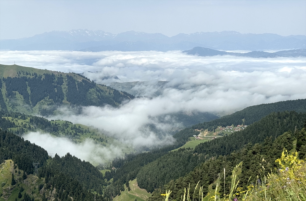 Artvin Şavşat'ta yüksek kesimlerde sis etkili oldu