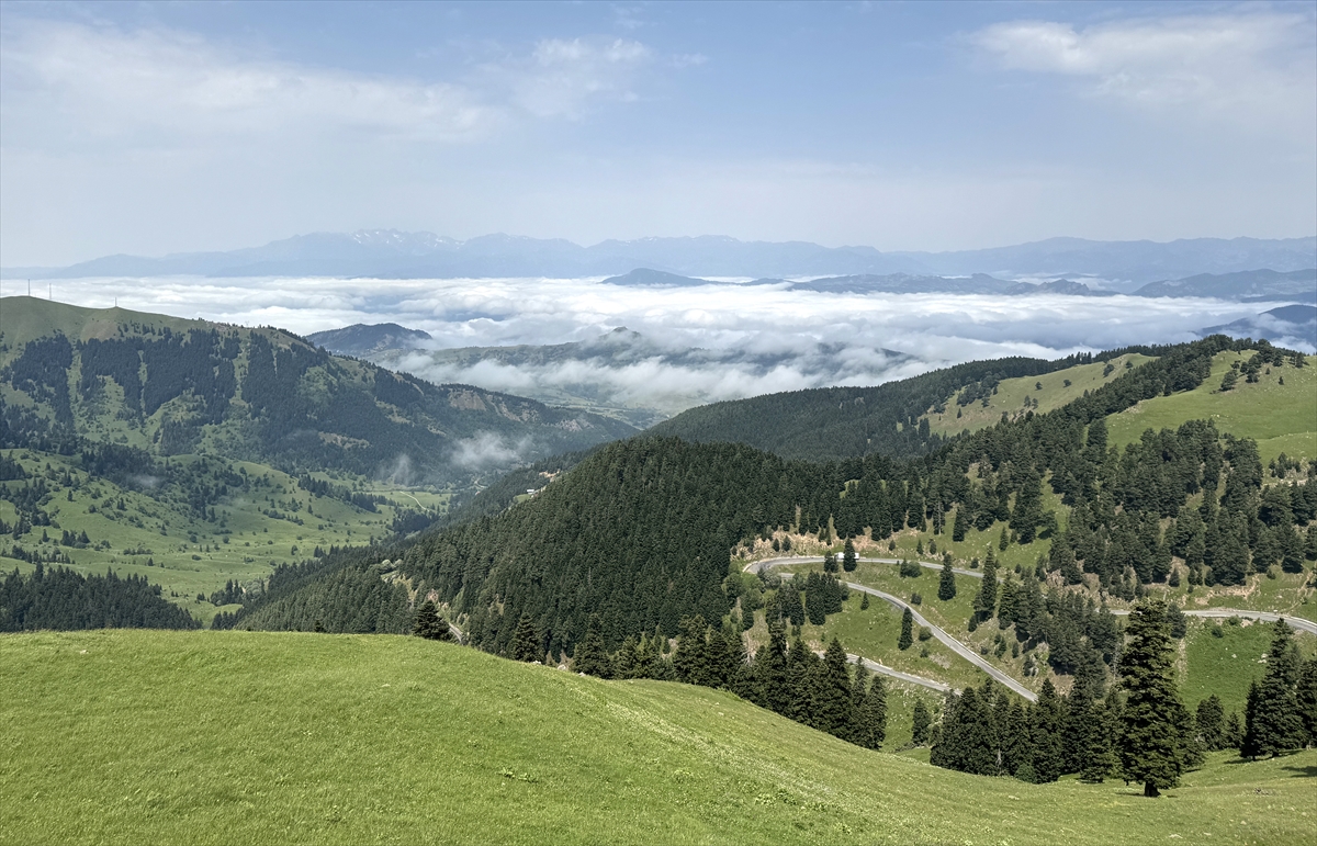 Artvin Şavşat'ta yüksek kesimlerde sis etkili oldu