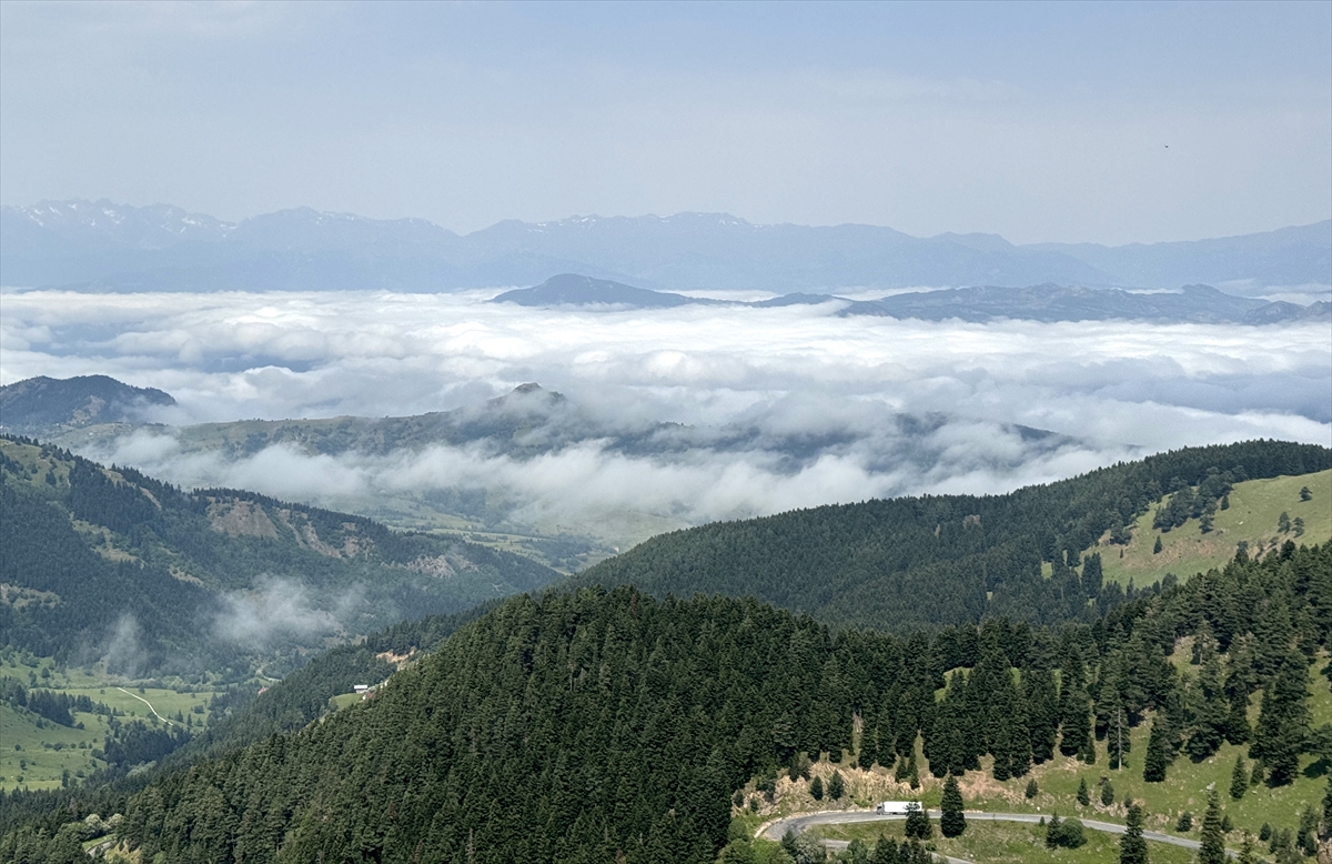 Artvin Şavşat'ta yüksek kesimlerde sis etkili oldu