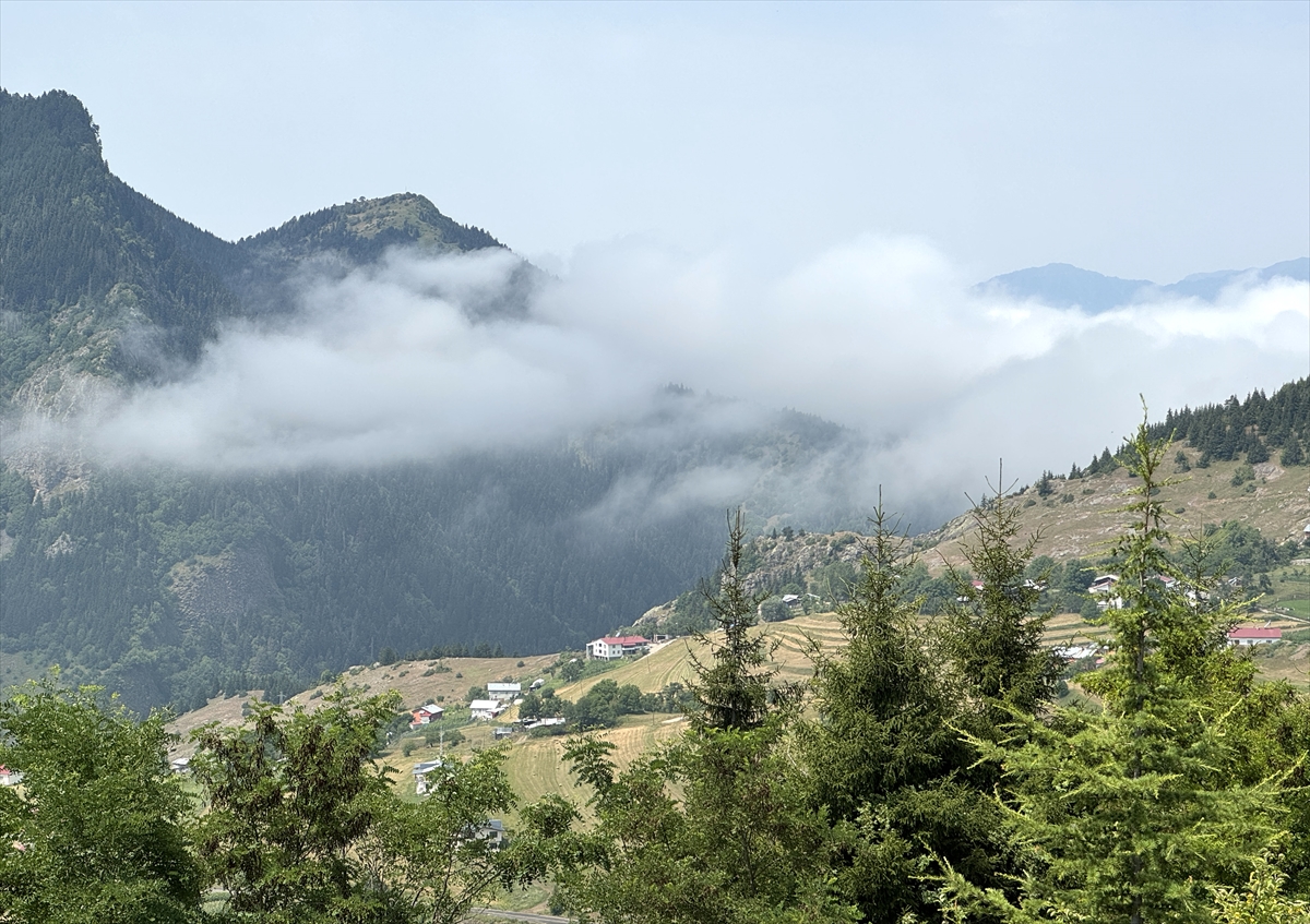 Artvin Şavşat'ta yüksek kesimlerde sis etkili oldu