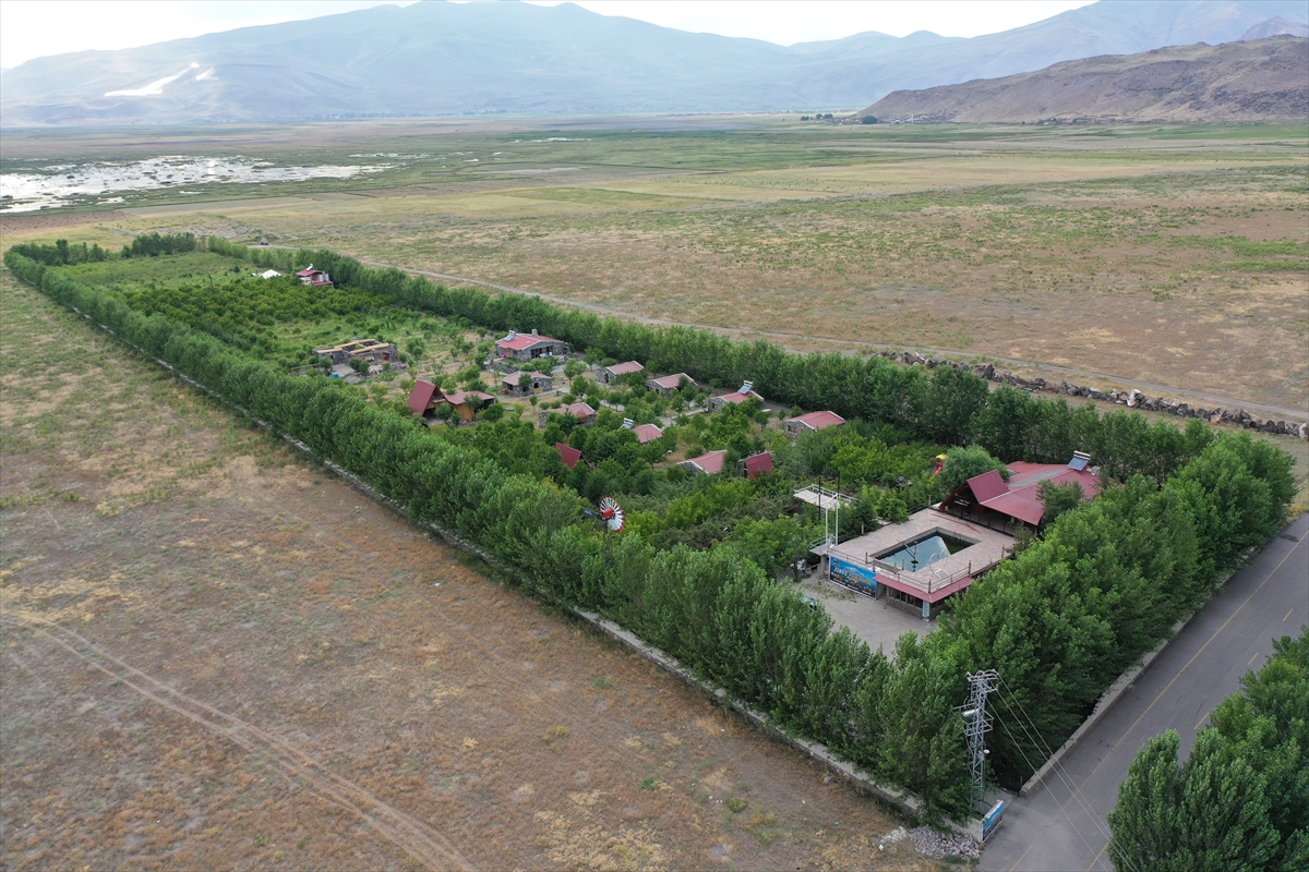 Kaymakam Ayvat: Ağrı Dağı eteklerinde meyve hasadı başarı