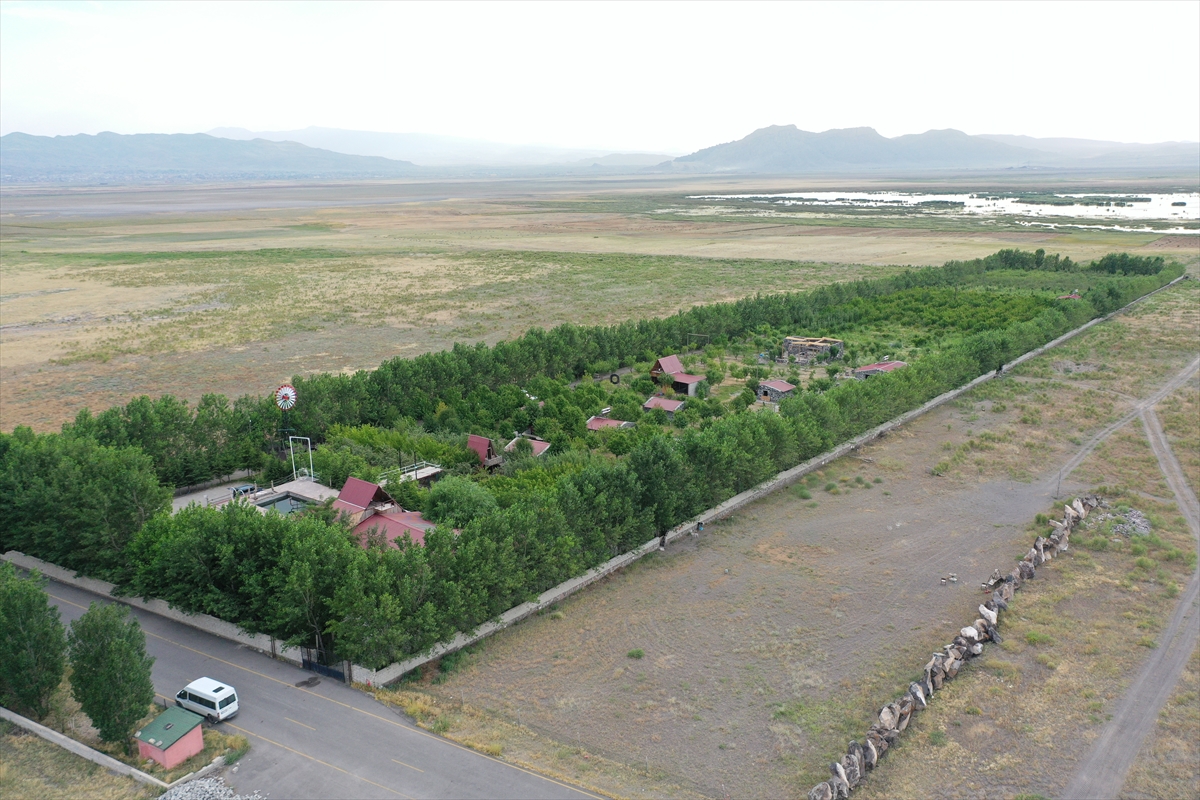 Kaymakam Ayvat: Ağrı Dağı eteklerinde meyve hasadı başarı