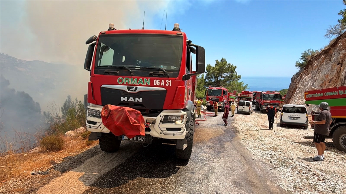 Alanya'da orman yangını: Havadan ve karadan müdahale sürüyor