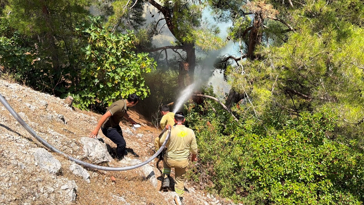 Alanya'da orman yangını: Havadan ve karadan müdahale sürüyor