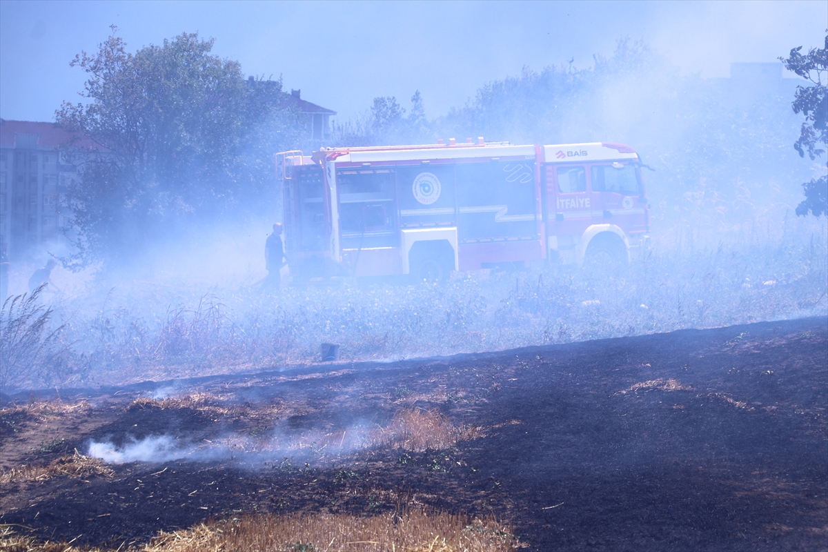 Tekirdağ'da çıkan anız yangınında 100 dekar tarım arazisi zarar gördü