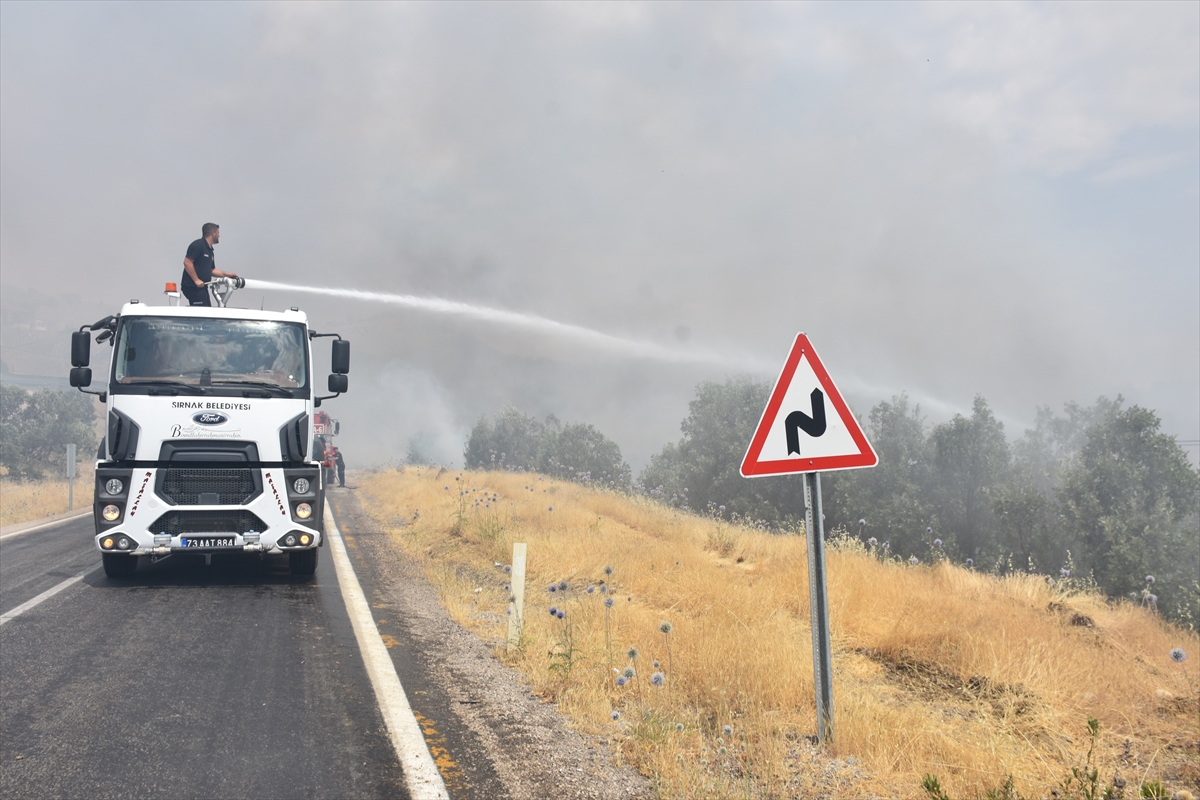 Şırnak'ta orman yangını: Ekipler müdahaleyi sürdürüyor
