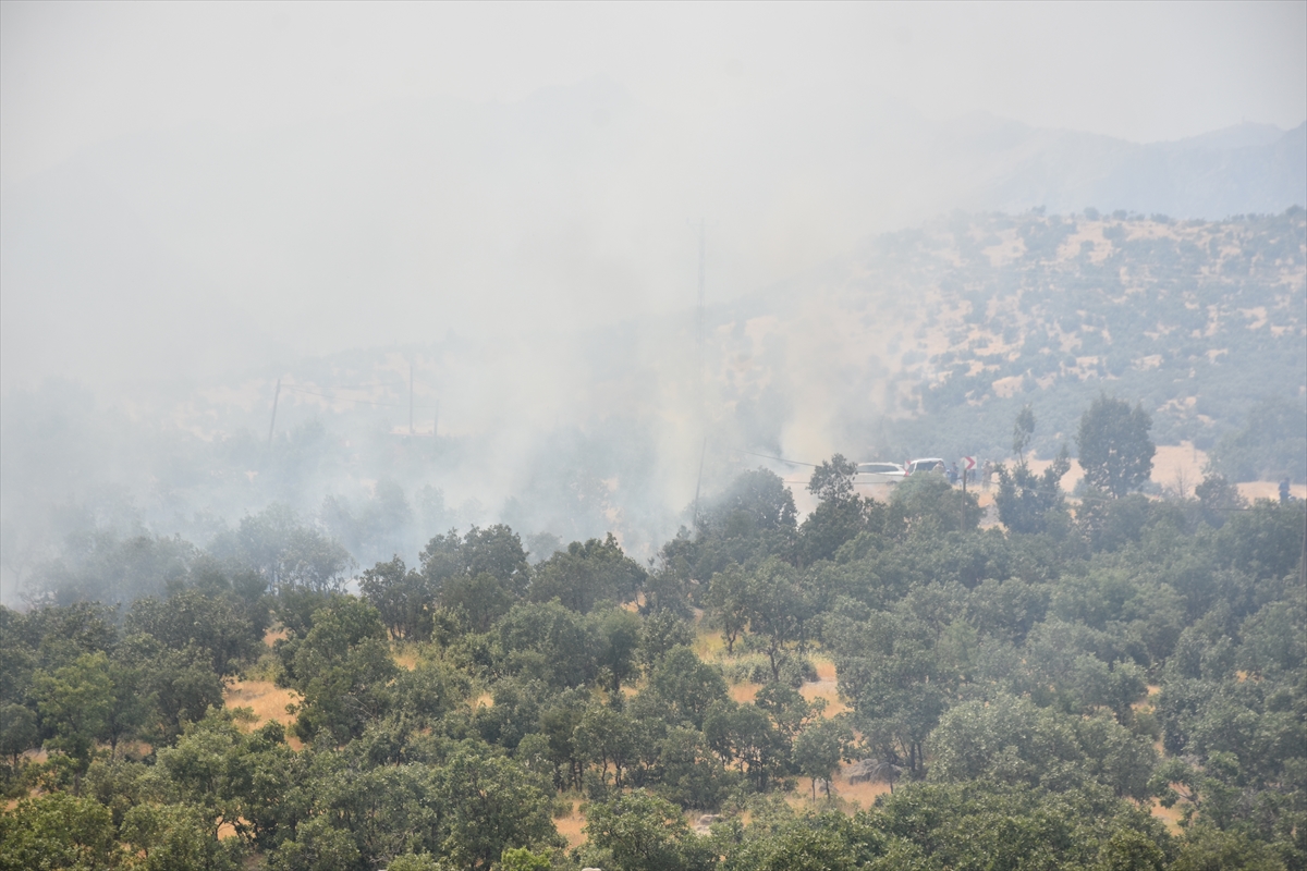 Şırnak'ta orman yangını: Ekipler müdahaleyi sürdürüyor