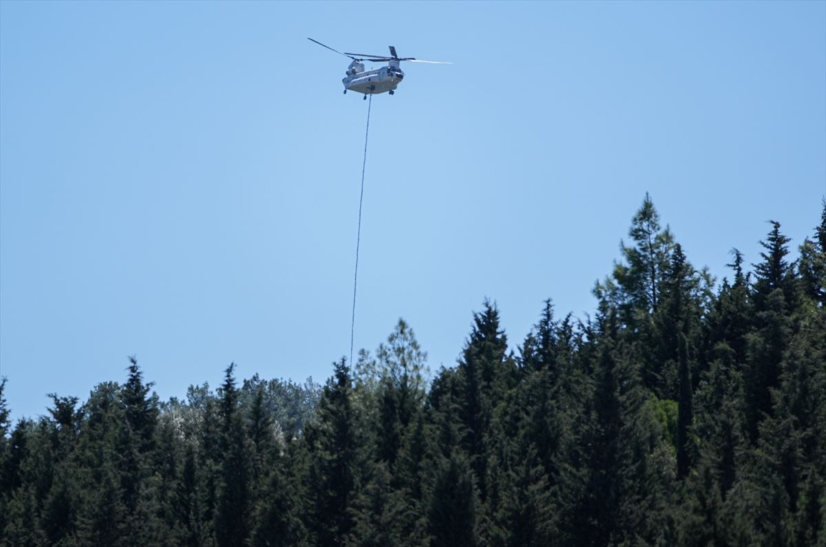 GÜNCELLEME - İzmir'de çıkan orman yangını kontrol altına alındı