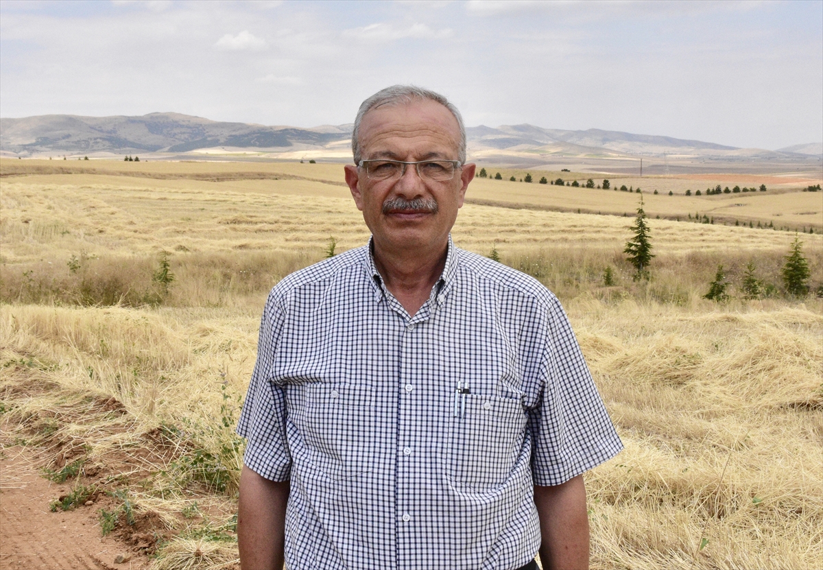Kırşehir'de doğru tohum ve yağışla buğday verimi %100 arttı