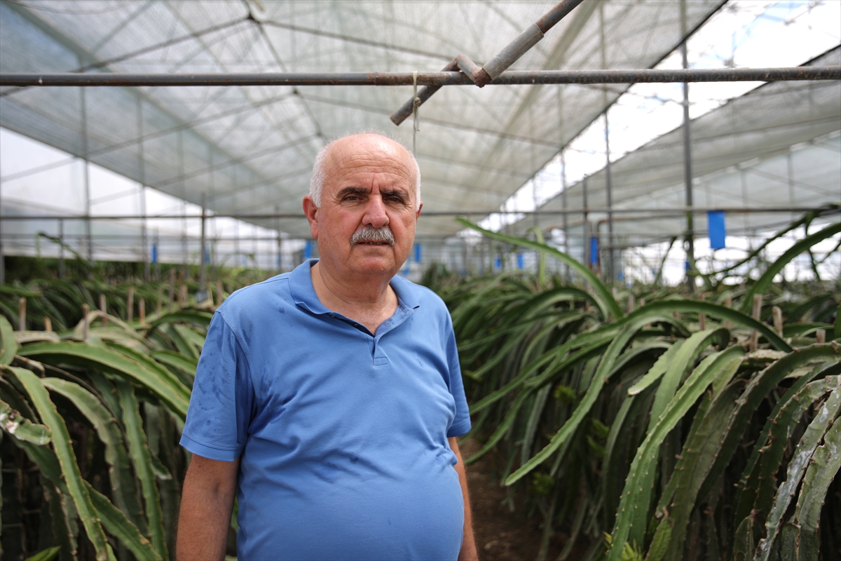 Üreticiler 40 derecede serada mesai yapıyor