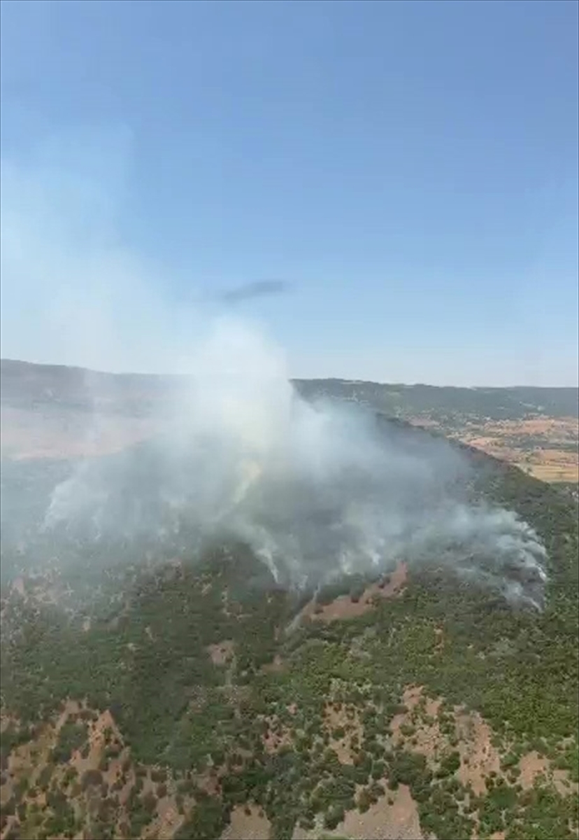 Elazığ Karakoçan'daki orman yangını kontrol altına alındı