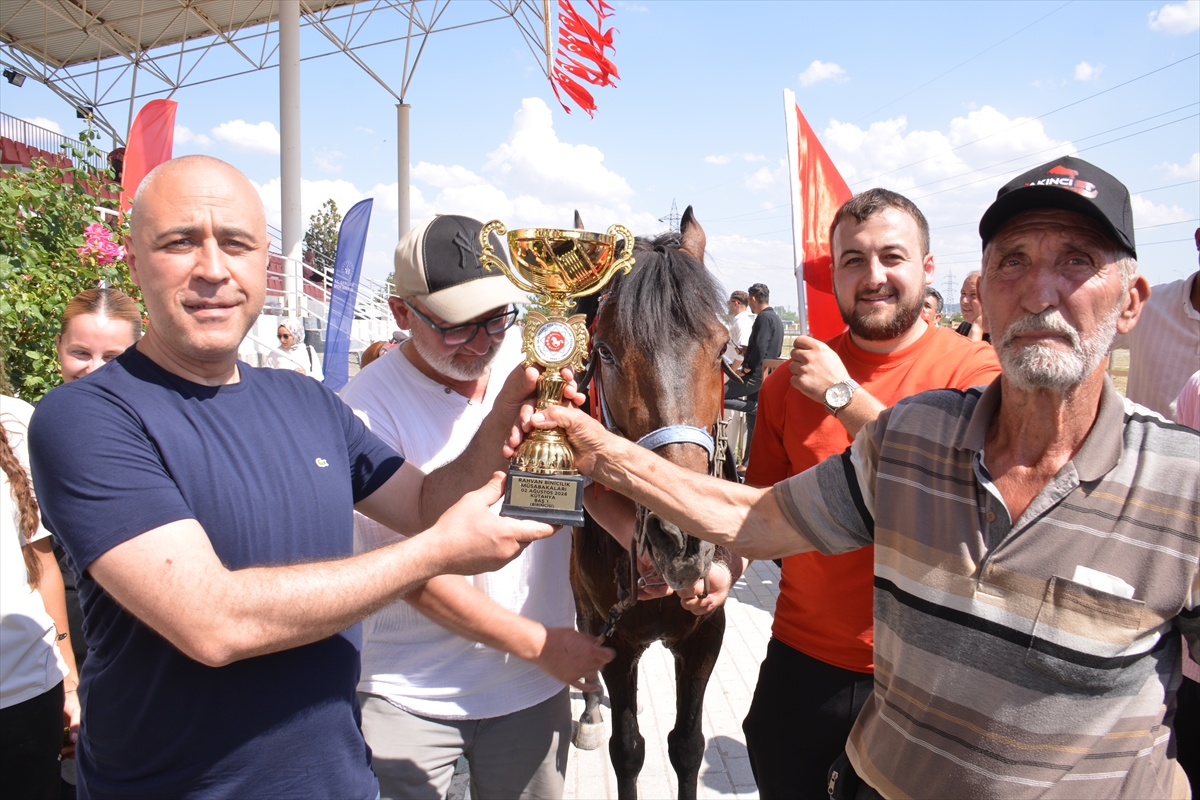 Kütahya'da Rahvan At Yarışları: Türkiye Şampiyonası İçin Mücadele