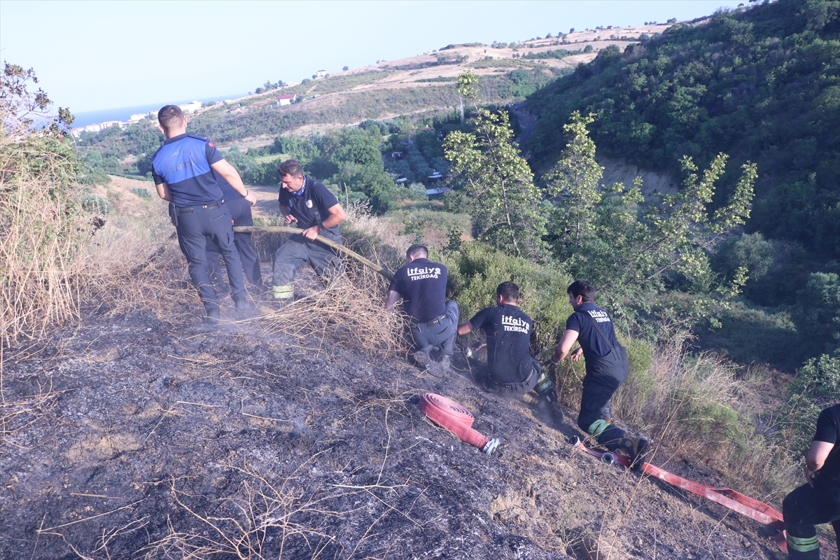 Tekirdağ'da ağaçlık alanda yangın: 80 dekar zarar gördü