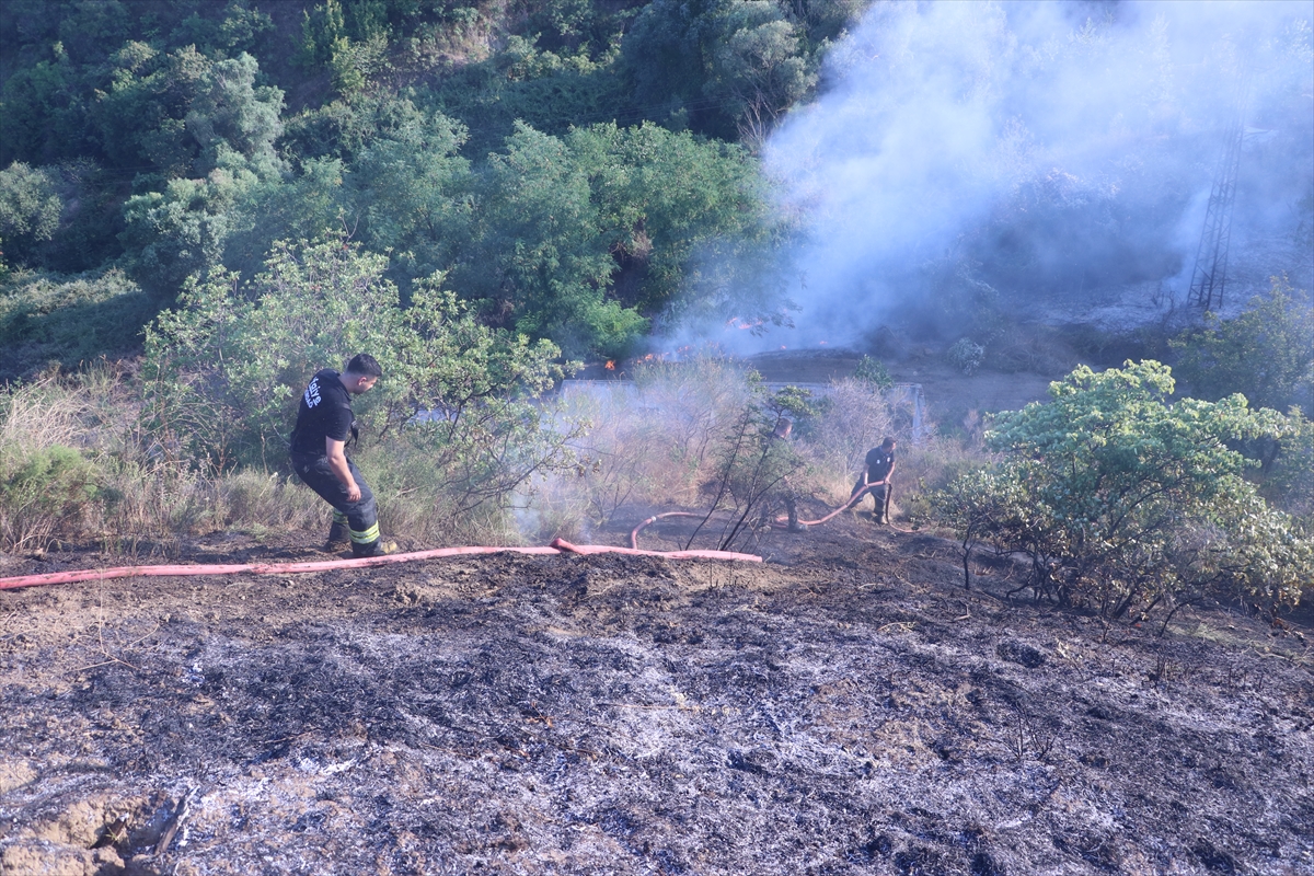 Tekirdağ'da ağaçlık alanda yangın: 80 dekar zarar gördü