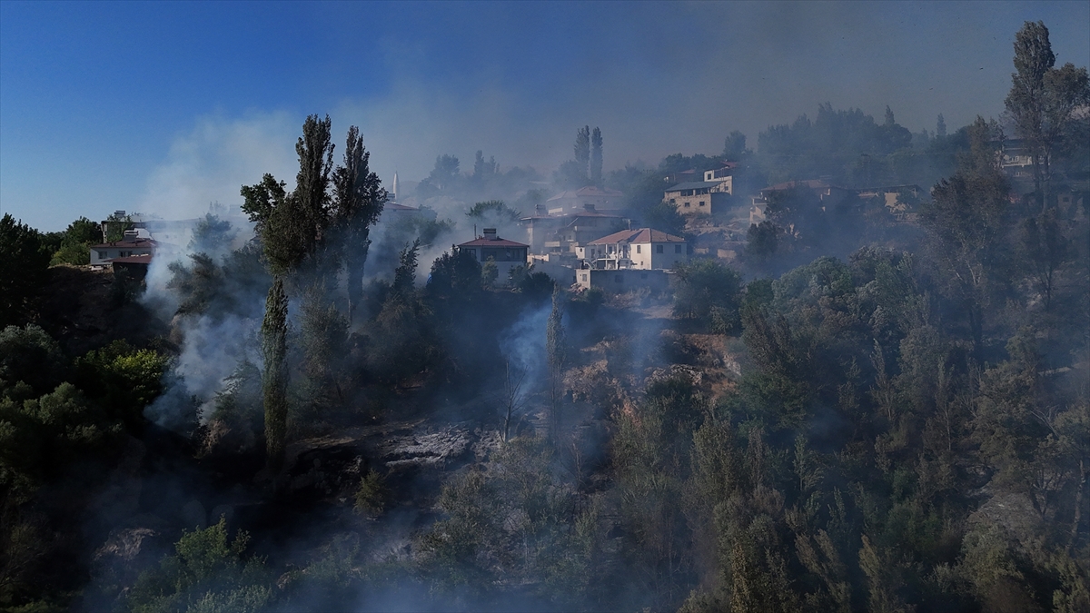 Malatya'da yerleşim alanına sıçrayan yangın söndürüldü