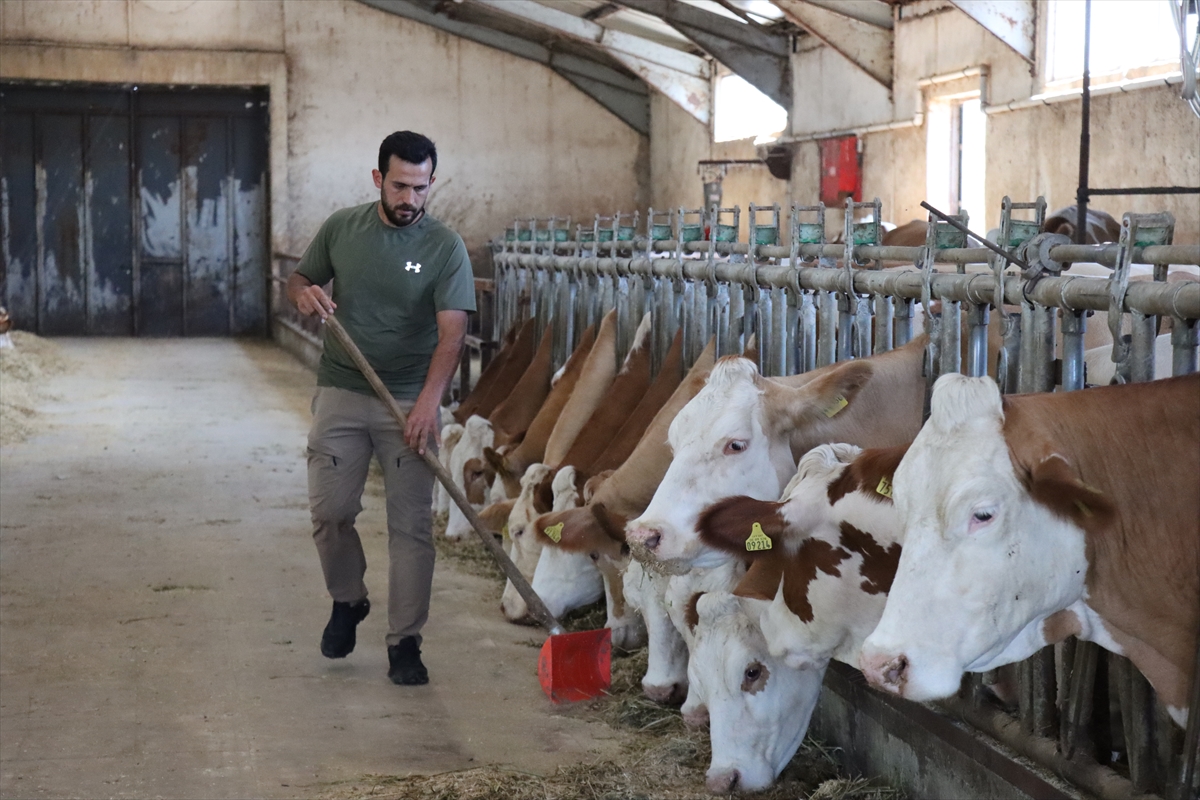 Girişimci Bilal Akyıldız: TKDK desteğiyle işletmesini büyütüyor