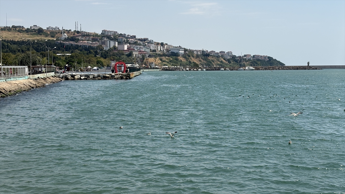 Tekirdağ'da poyraz etkisini yitirdi: Deniz ulaşımı normale döndü
