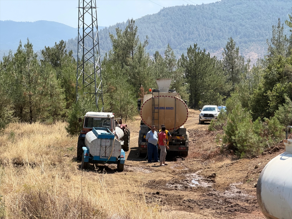 Bursa'da çıkan orman yangını büyümeden söndürüldü