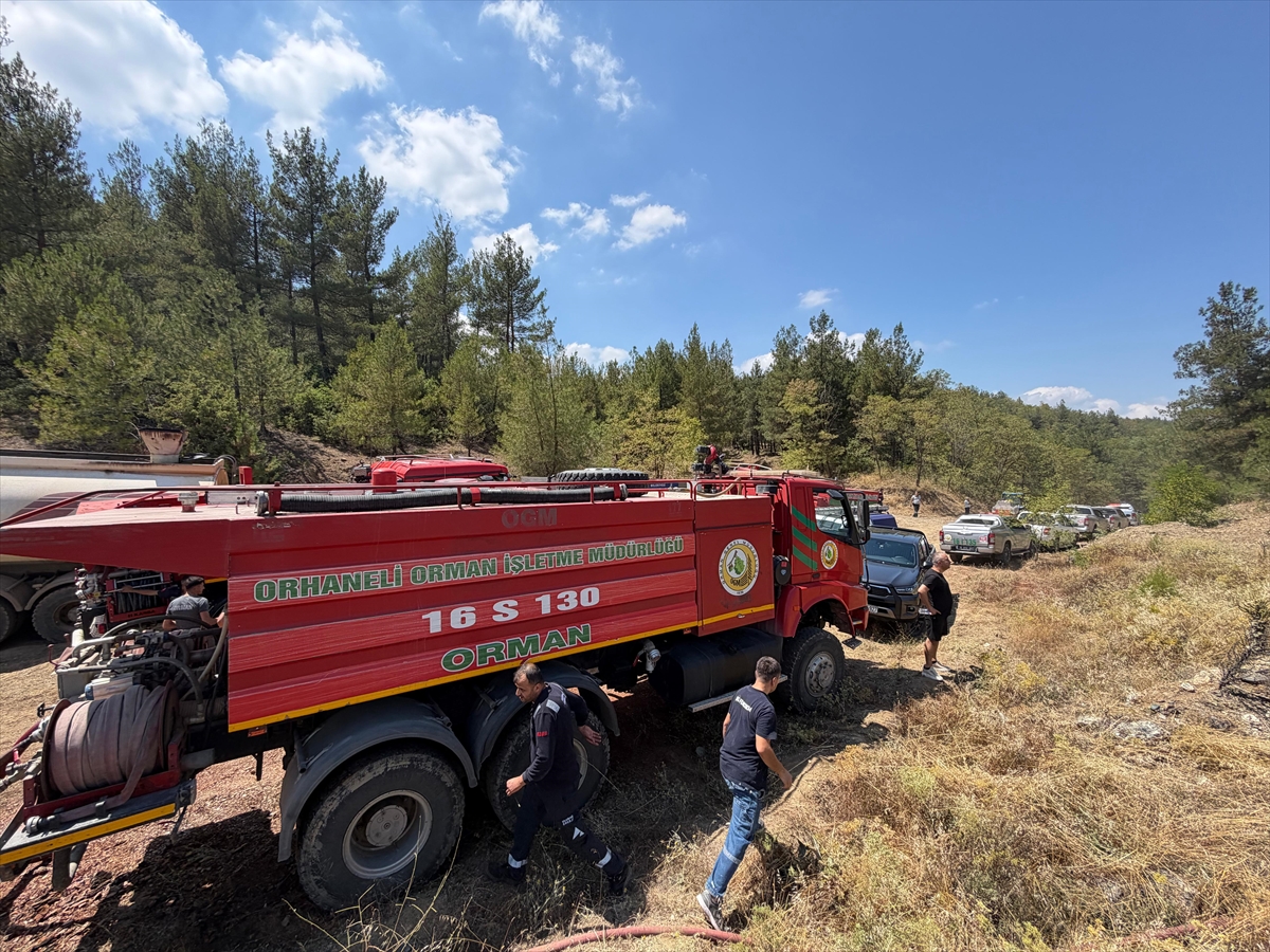 Bursa'da çıkan orman yangını büyümeden söndürüldü