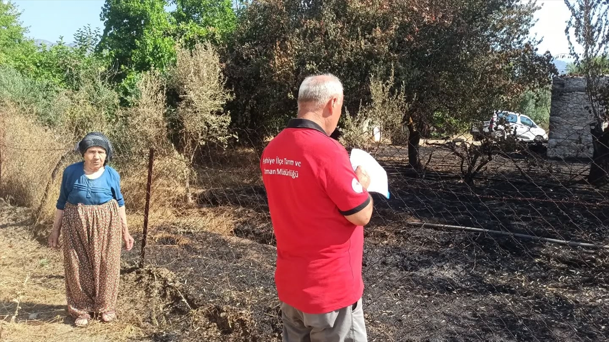 Fethiye yangını: Tarım alanlarında hasar tespiti sürüyor