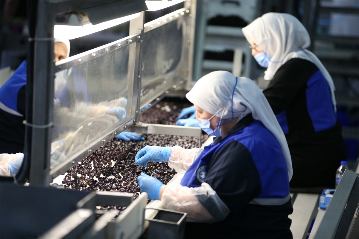 Marmarabirlik ihracatta rotayı Orta Doğu'ya çevirdi