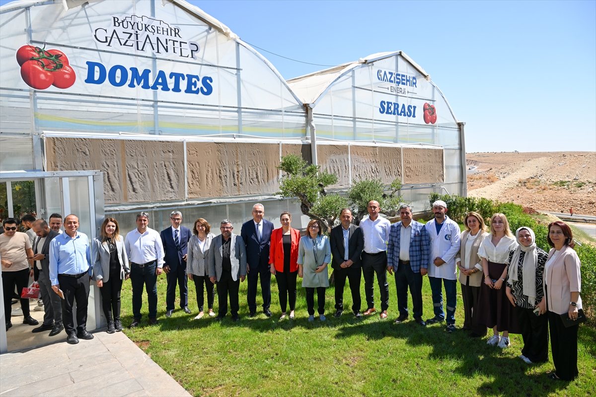 Gaziantep: Çöpten enerjiyle serada 28 ton ürün üretimi