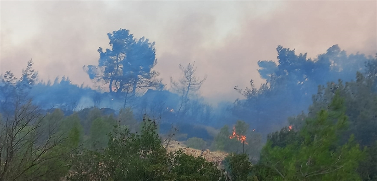 Çanakkale Ezine'de orman yangını: Ekipler müdahale ediyor