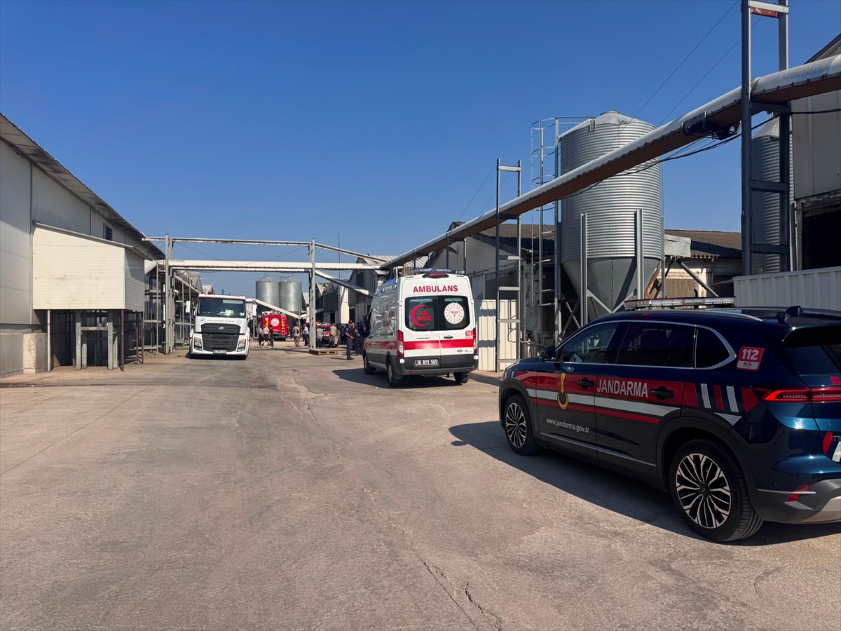 Bursa Mudanya'da Tavuk Çiftliği Yangını: 12 Bin Hayvan Telef Oldu