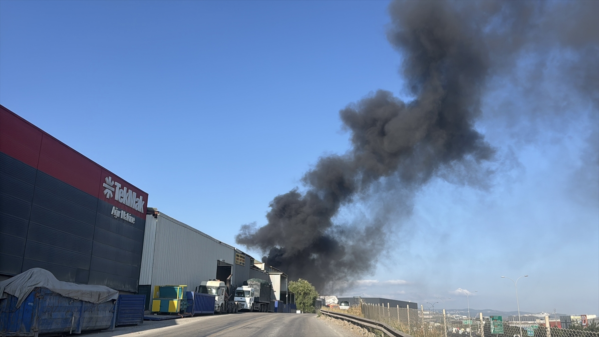 Kocaeli Gebze'de geri dönüşüm deposu yangını: Ekipler müdahalede